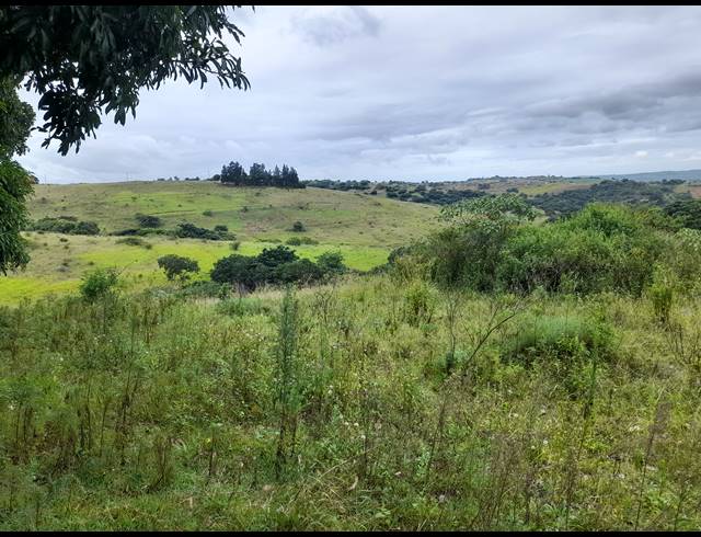 3 BEDROOM FREESTANDING FOR SALE IN STANGER RURAL